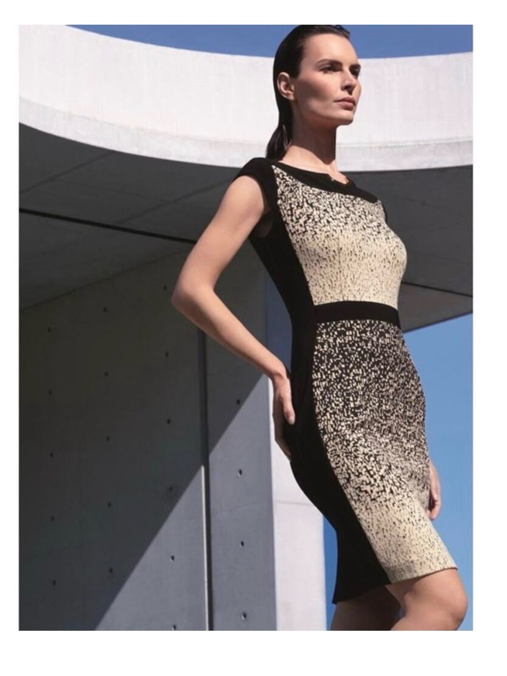 Black and Cream Fitted Sheath Dress - Classic Women's Dress